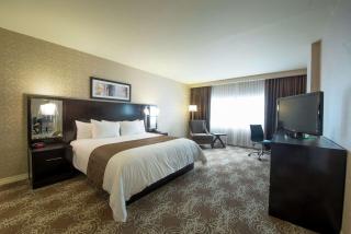 DoubleTree by Hilton Binghamton - Binghamton - 2