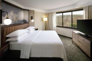Embassy Suites Tysons Corner - 9