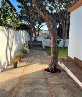 VILLA CORVINA - Chiclana de la Frontera - 9