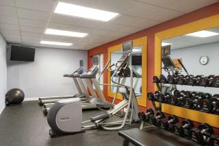 Homewood Suites by Hilton St. Petersburg Clearwater - Clearwater - 5