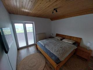 Apartments at Klemen - Zgornje Gorje - 1