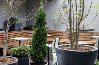 Freepoint Hotel Cambridge, Tapestry Collection by Hilton - Cambridge - 8