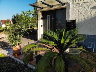 Sonnige 3 Zimmer Wohnung mit schönem Balkon im Grünen - Reutlingen - 5