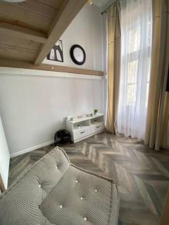 Apartament in stil unic langa Primaria Arad - 5