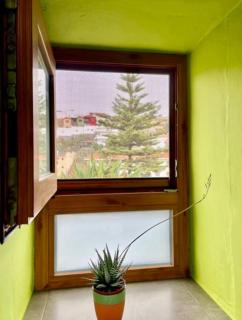 Vv Casa Maye Pepa en Teror - Teror - 1
