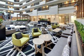 Embassy Suites by Hilton Atlanta Perimeter Center - Atlanta - 5