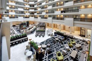 Embassy Suites by Hilton Atlanta Perimeter Center - Atlanta - 4