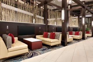 Embassy Suites by Hilton Atlanta NE Gwinnett Sugarloaf - Duluth - 8
