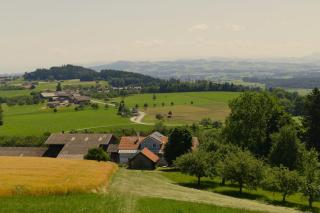 Hotel & Restaurant Nollen - Hosenruck - 5