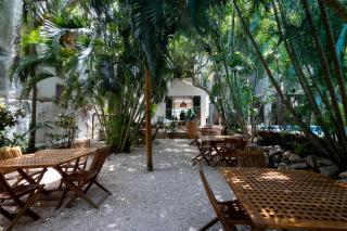 Hotel Casa Barbara Holbox - Isola Holbox - 4