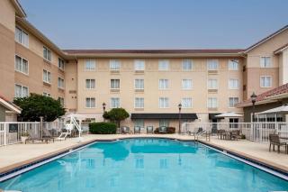 Homewood Suites by Hilton Jacksonville-South/St. Johns Ctr. - Jacksonville - 4