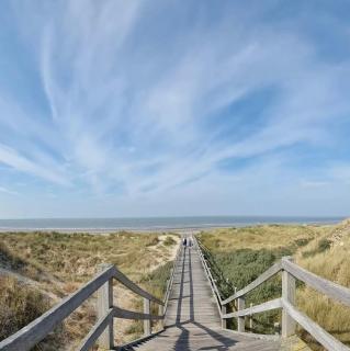 Carpe Diem - De Haan - 3