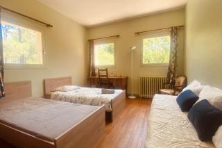 Rare pearl with garden near Arcachon - La Teste-de-Buch - 8
