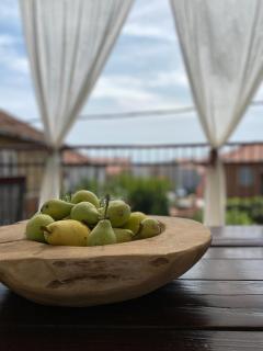 Apartment Vito - Zadar - 0