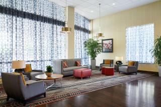 Hampton Inn & Suites Mt. Prospect - Mount Prospect - 8