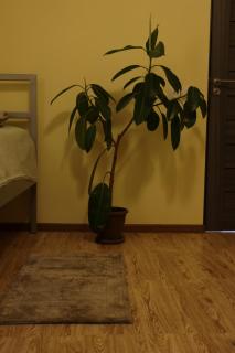 LUCY B&B - Garni - 7