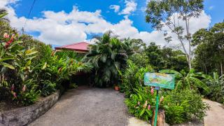 Bungalows Las Iguanas Arenal Volcano - Fortuna - 2