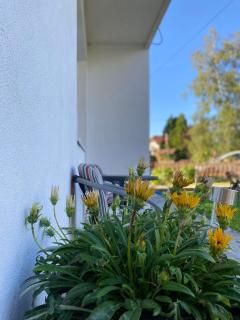 APARTMAN BAMBUS - Lug - 8