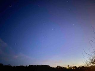 Drakes Mead Retreat - Shepherd's Hut - 6