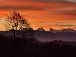 Bärnsicht Panorama Hotel - 4