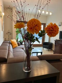 Carpegna Luxury apt with terrace - 9