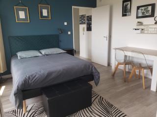 LE VINCI Studio tout confort proche centre ville avec terrasse et parking - Blois - 9
