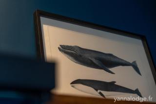 Yanna Lodge, gîte classé 4 étoiles avec Spa couvert entièrement - 2