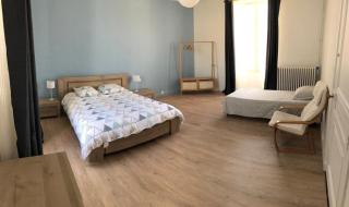 Maison de vacances familiale au cœur du marais poitevin - Maillezais - 3