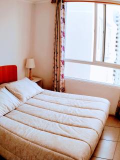Hermoso departamento a pasos de la Playa y Casino Enjoy - Coquimbo - 5