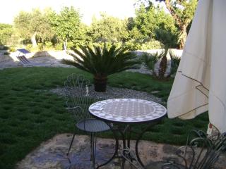 B&B Tenuta Ranieri - Selva di Fasano - 1