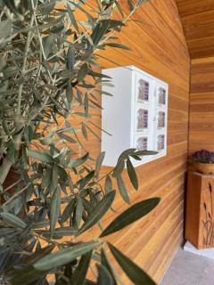 Gut Schlafen - Am Kogl - 8