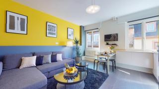 Suite privative 43m2 - Les tailleurs à 120m de la cathedrale - Strasburgo - 0