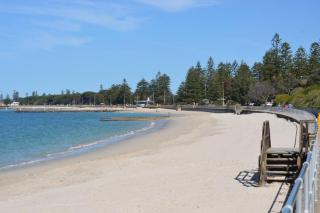 Family Stay with Idyllic Sun-drenched Courtyard - Sydney - 6