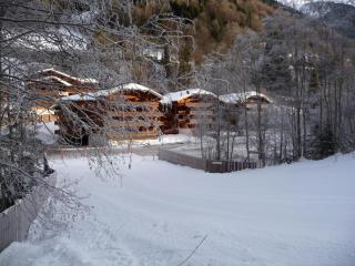 Location Morzine, au pied des pistes, 4-6 pers, balcon, parking, petits animaux admis - FR-1-754-28 - Morzine - 9