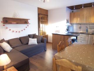 Superbe T2 au cœur de Morzine à 100m des pistes, parking, wifi, balcon, 6 pers, non-fumeur - FR-1-754-47 - Morzine - 0