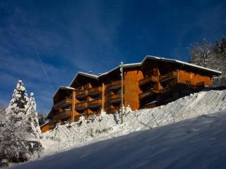 Joli T2 classé 1* au pied des pistes et téléphérique de Nyon - Morzine, avec parking et wifi - FR-1-754-31 - Morzine - 1