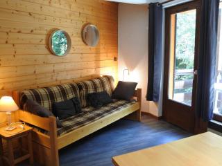 Appartement confortable 1 chambre, proche pistes & centre Morzine, pour 4 pers, avec garage - FR-1-754-33 - Morzine - 9