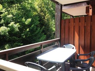 Appartement confortable 1 chambre, proche pistes & centre Morzine, pour 4 pers, avec garage - FR-1-754-33 - Morzine - 3