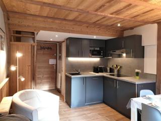 Appartement rénové, 4 pers, pied des pistes de Nyon, Morzine, parking, wifi et animaux acceptés - FR-1-754-48 - Morzine - 9