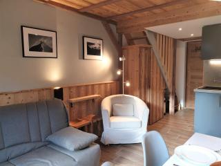 Appartement rénové, 4 pers, pied des pistes de Nyon, Morzine, parking, wifi et animaux acceptés - FR-1-754-48 - Morzine - 8