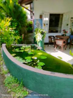 Madoldu eco resort - Koggala - 7