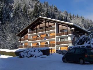 Duplex confortable pour 9 pers à 500m du centre de Morzine, proche des pistes, avec balcon et parking - FR-1-754-63 - Morzine - 8