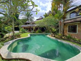 Dzawani Villa Ubud - Tampaksiring - 5