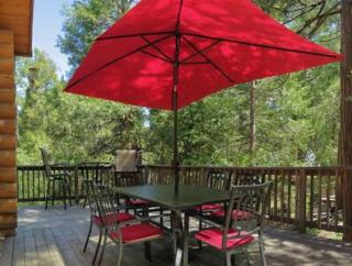 Eagles Nest - Natural Log Cabin with Guest House - 5