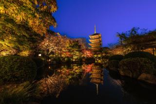 OMO3 Kyoto Toji by Hoshino Resorts - 6