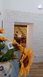 Rega Holiday House - Napoli - 5