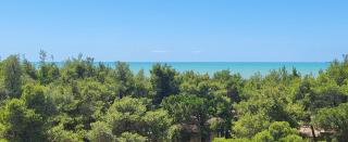 BELLISSIMA CASA AL MARE CON VISTA MOZZAFIATO - 7