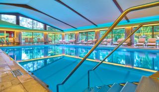 Hotel Das Bayerwald - Lam - 9