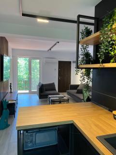 Apartament 3 camere Vila Cristal - Neptun - 7