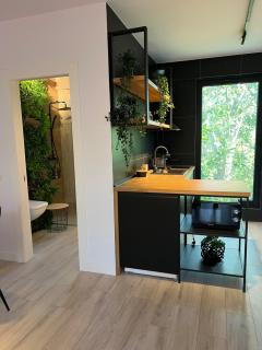 Apartament 3 camere Vila Cristal - Neptun - 9